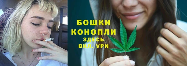 дурь Арсеньев