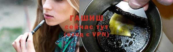 стаф Гусь-Хрустальный