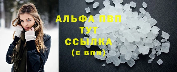 спайс Баксан